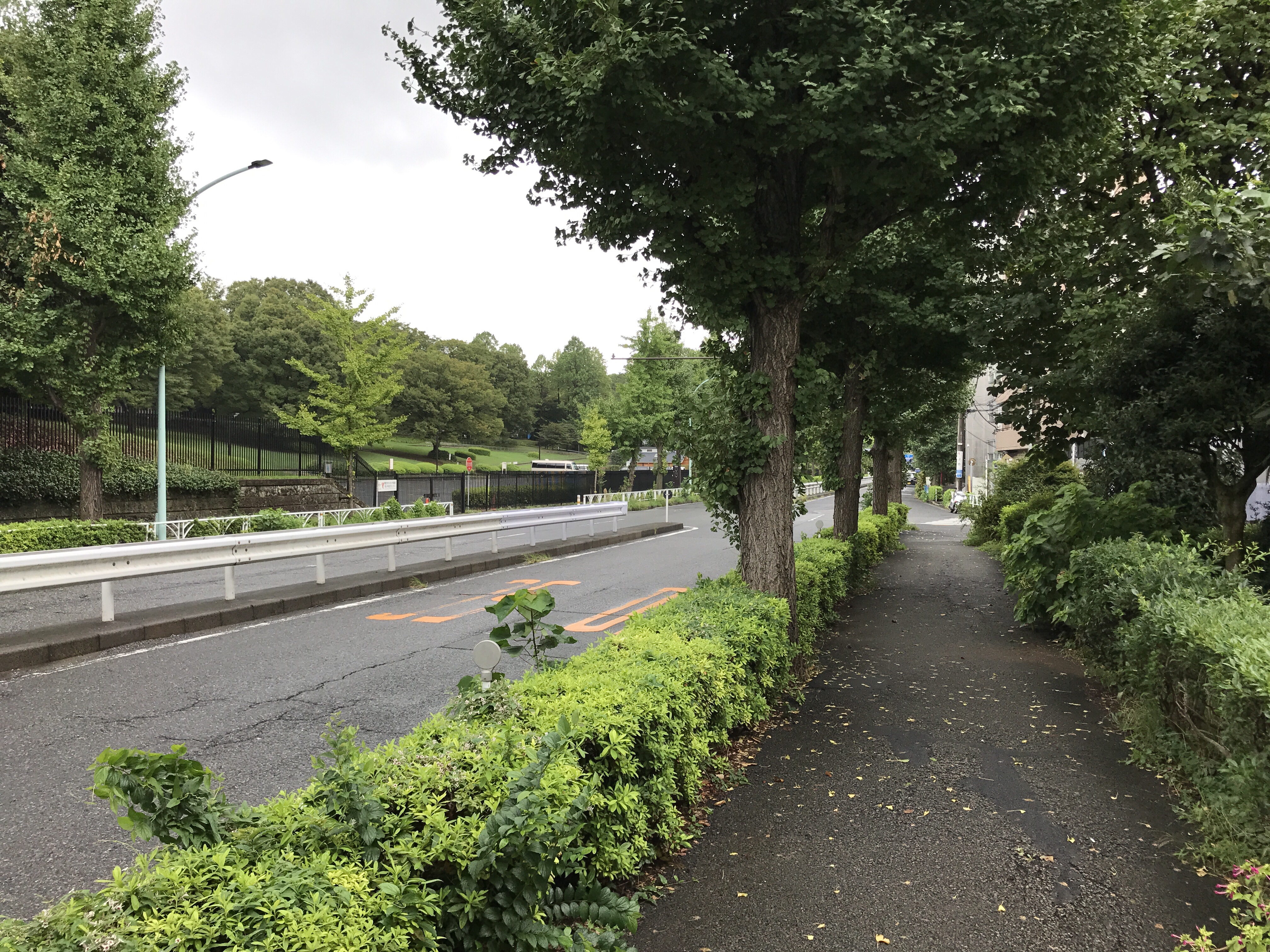 はるのおがわプレーパーク